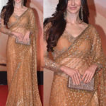 giorgia-andriani-at-dabangg-3-screening-in-gold-color-brand-new-fancy-saree