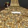 Softly Bronze Color Devsena Soft Silk Saree Digital Print Saree
