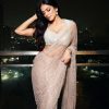 Cute Golden Color Nylon Butterfly Net Malty & Sequence Saree