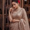Majestic Chiku Color Georgette Beautiful Embroidery Saree
