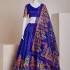 Nice Blue Silk Embroidery Sequins Amazing Print Lehenga Choli