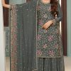 Superb Grey Color Chinon Embroidery Multi Work Salwar Suit