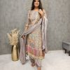 Majestic Grey Color Maslin Printed And Coin Work Salwar Suit