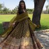 Sublime Mehndi Color Faux Georgette Thread Anarkali Suit