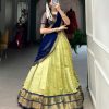 Beautiful Pista Color Kanchipuram Zari Weaving Work Lehenga Choli