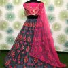 Fantastic Grey Color Zari Dorii Embroidery Net Lehenga Choli