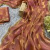 Pretty Peach Color Fendi Chiffon Pattern Hand Work Lace Saree