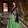 Navy Blue Kanchipuram Weaving Lehenga Choli