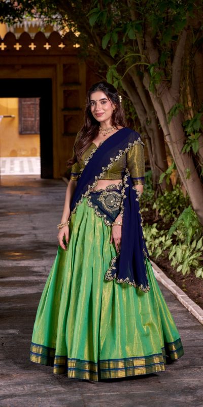 Navy Blue Kanchipuram Weaving Lehenga Choli