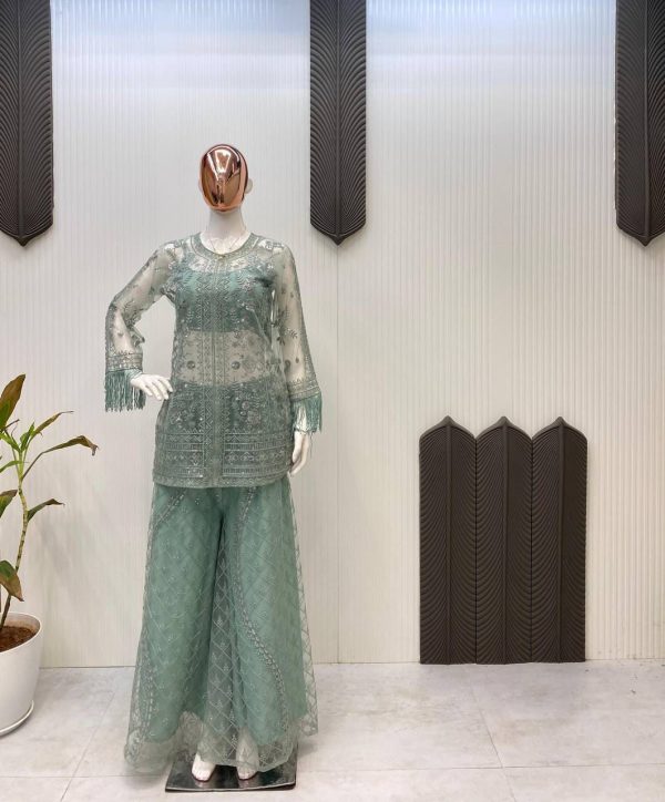 Pista Butterfly Net Sequence Salwar Suit