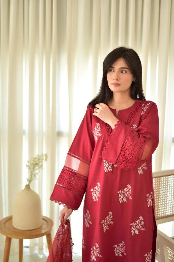 Red Roman Embroidery Salwar Suit