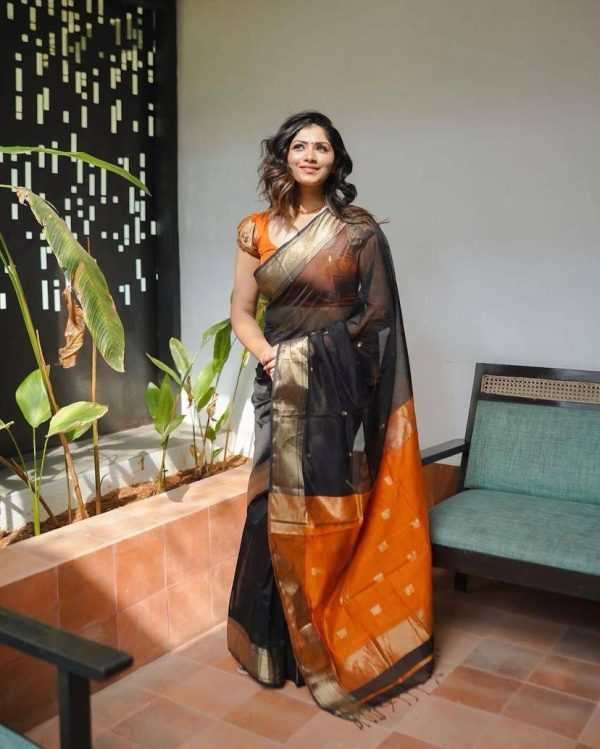 Black Soft Lilan Slab Weaving Work Saree