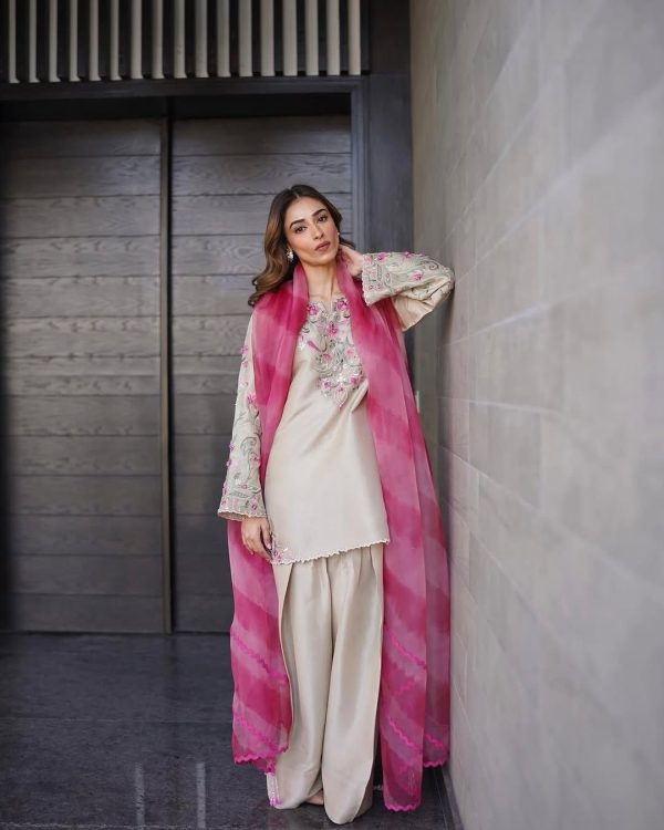 Chiku French Crape With Embroidery Work Salwar Suit