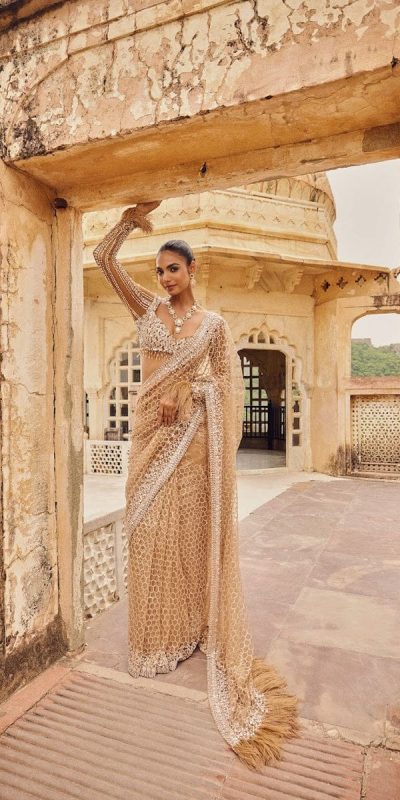 Cream Butterfly Net With Embroidery Work Saree