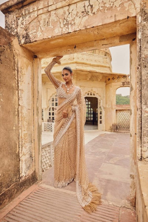 Cream Butterfly Net With Embroidery Work Saree