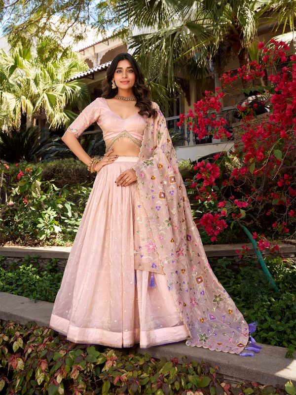 Light Pink Gold Crush Sequins Lehenga Choli