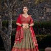 Mehandi Tasar Silk Print Lehenga Choli