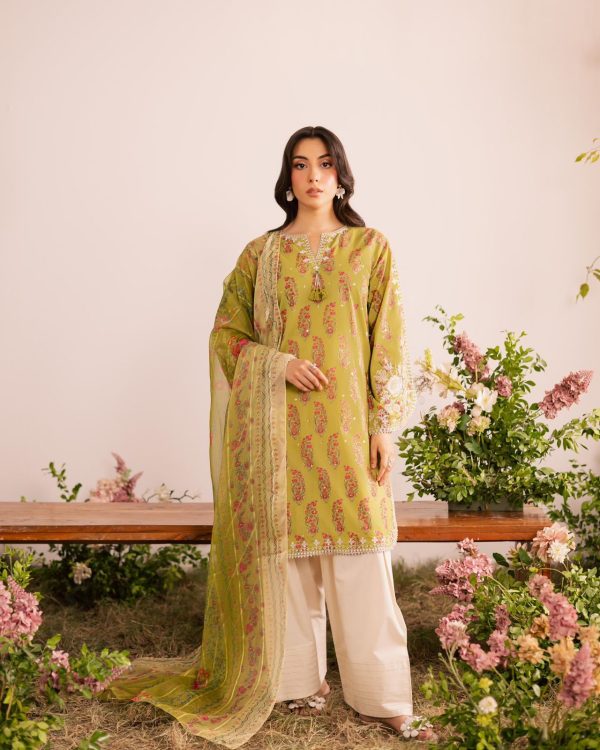 Mustard French Crap Digital Print Work Salwar Suit