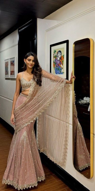 Pink Soft Butterfly Net Lehenga Saree