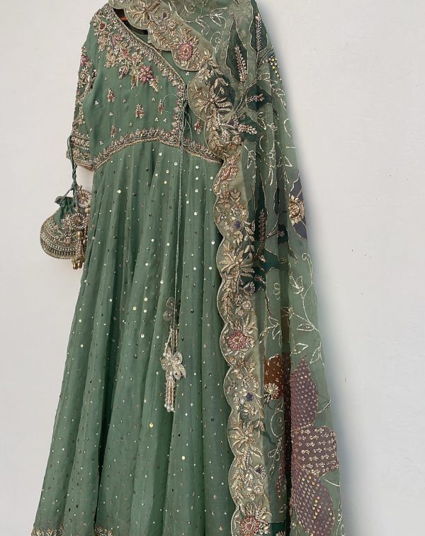 Pista Chinon Lace Embroidery Work Gown