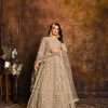 Grey Net Embroidery Work Salwar Suit