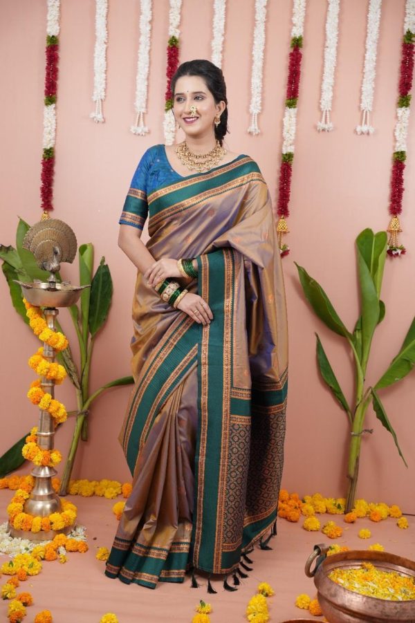 Grey Silk Paithni Weaving Zari Work Saree