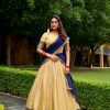 Navy Blue Kanchipuram Zari Lace Work Lehenga Choli