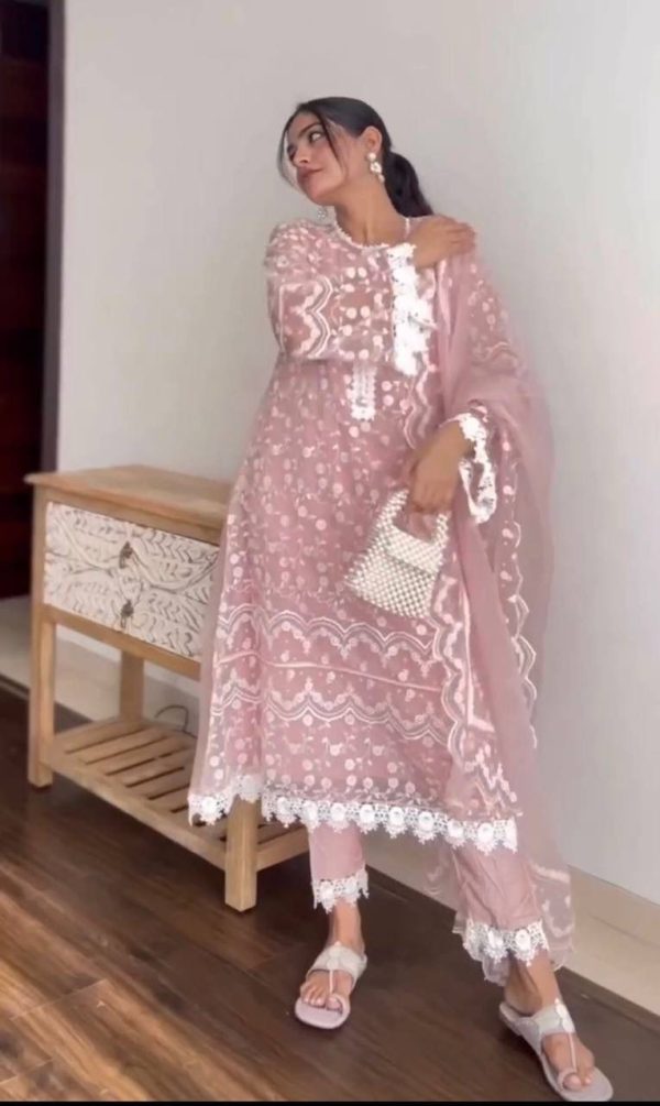 Onion Soft Net Embroidery Cut Work Salwar Suit