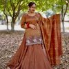 Rust Simmer Silk Embroidery Work Lehenga Choli