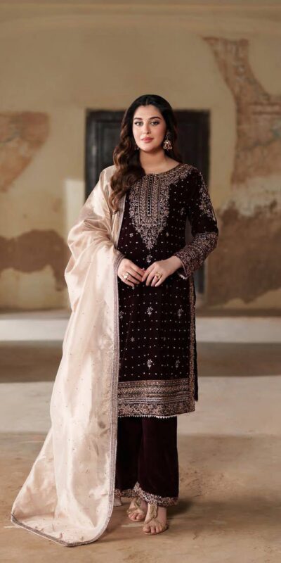 Maroon Velvet Embroidery Work Salwar Suit