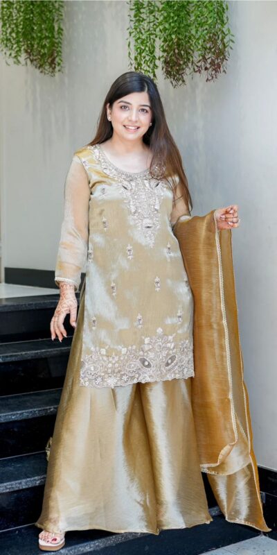Brown Jimmy Choo Embroidery Lace Work Salwar Suit