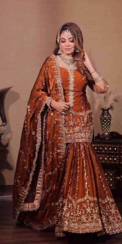 Rust Fendy Silk Embroidery Work Salwar Suit