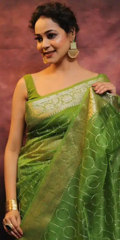 MS 438 Green Color Nylon Organza Jacquard Multi Embroidered Saree Casual, Party Wear, Wedding, Events, Etc. Expected Delivery 4-6 Working Days 1599/- | Sarees, Bollywood Sarees, Creative Sarees, Designer Sarees, Embroidered Sarees, Ethnic Saree, Modern Digital sarees, Party Wear Sarees