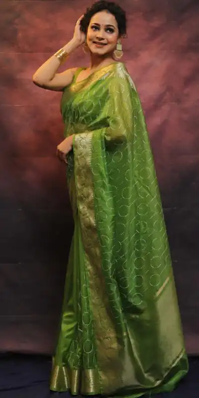 MS 438 Green Color Nylon Organza Jacquard Multi Embroidered Saree Casual, Party Wear, Wedding, Events, Etc. Expected Delivery 4-6 Working Days 1599/- | Sarees, Bollywood Sarees, Creative Sarees, Designer Sarees, Embroidered Sarees, Ethnic Saree, Modern Digital sarees, Party Wear Sarees