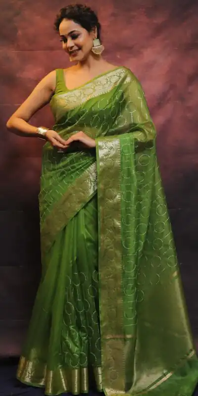 MS 438 Green Color Nylon Organza Jacquard Multi Embroidered Saree Casual, Party Wear, Wedding, Events, Etc. Expected Delivery 4-6 Working Days 1599/- | Sarees, Bollywood Sarees, Creative Sarees, Designer Sarees, Embroidered Sarees, Ethnic Saree, Modern Digital sarees, Party Wear Sarees