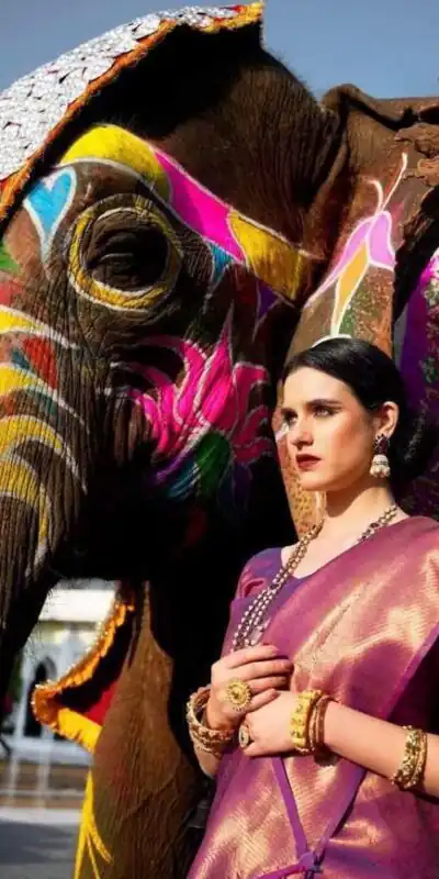 KP 5054  Pink Color Soft Lichi Silk Jacquard Rich Pallu Saree Casual, Party Wear, Wedding, Events Etc. Expected Delivery 4-6 Working Days @1349/- | Sarees, Bollywood Sarees, Creative Sarees, Designer Sarees, Embroidered Sarees, Ethnic Saree, Modern Digital sarees, Party Wear Sarees