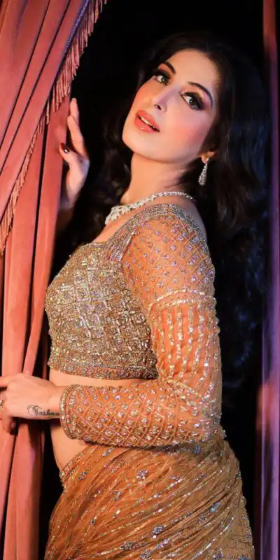 LG 601Golden Color Butter Fly Heavy Net Embroidered Saree  Party, Wedding, Festive, Events Etc., Expected Delivery 4-6 Working Days@1949/- Only | Sarees, Bollywood Sarees, Creative Sarees, Designer Sarees, Embroidered Sarees, Ethnic Saree, Party Wear Sarees