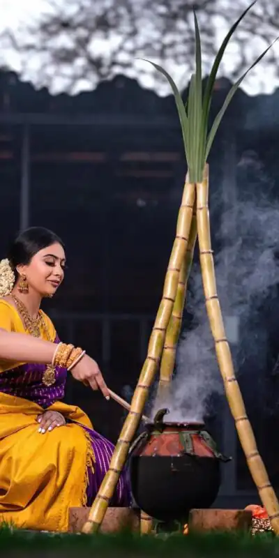 DDF POOJA Rebecca Purple Color Soft Lichi Silk Ordinary Design Rich Pallu Saree Casual, Party Wear, Events, Festivals Expected Delivery 4-6 Working @1499 | Sarees, Bollywood Sarees, Creative Sarees, Designer Sarees, Embroidered Sarees, Ethnic Saree, Modern Digital sarees, Party Wear Sarees