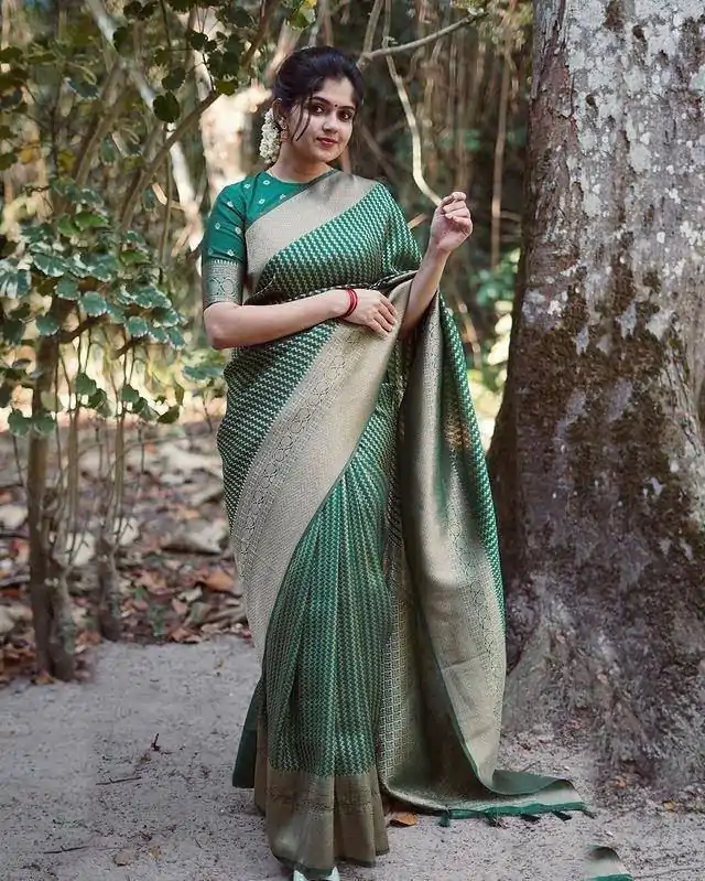 DDF PAYAL GreenColor Soft Lichi Silk Ordinary Design Rich Pallu Saree Casual, Party Wear, Events, Festivals Etc. Expected Delivery 4-6 Working Days 1349/ | Sarees, Bollywood Sarees, Creative Sarees, Designer Sarees, Embroidered Sarees, Ethnic Saree, Modern Digital sarees, Party Wear Sarees