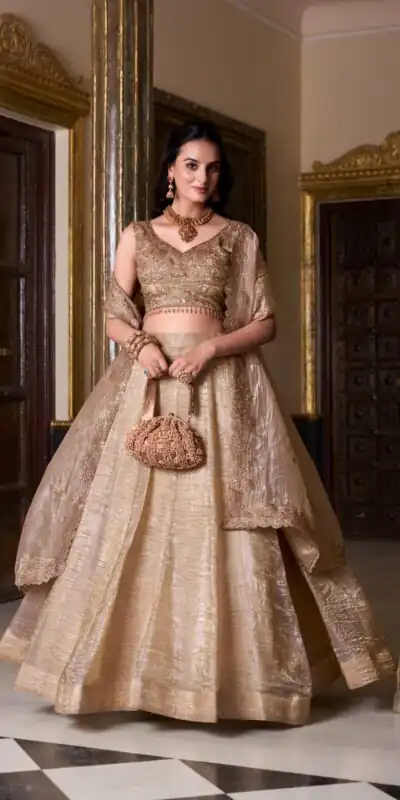 LNB 1430 Chiku Color Gold Crush Plain Canvas Lehenga Choli Wedding, Party, Festive, Events Etc. Delivery 4-6 Working Days Rs 3199 | Lehenga, Bollywood Lehenga, Creative Lehenga, Designer Lehenga, Embroidered Lehenga, Party Wear Lehenga