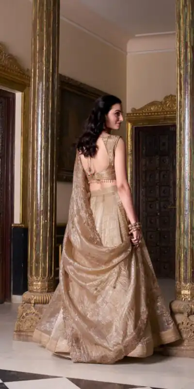LNB 1430 Chiku Color Gold Crush Plain Canvas Lehenga Choli Wedding, Party, Festive, Events Etc. Delivery 4-6 Working Days Rs 3199 | Lehenga, Bollywood Lehenga, Creative Lehenga, Designer Lehenga, Embroidered Lehenga, Party Wear Lehenga