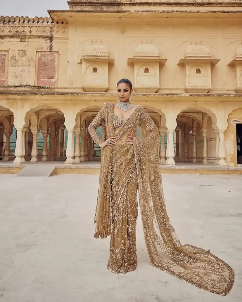 DF 3441 Chiku Color Mono Net Heavy 5mm Sequins Embroidery Work Saree Casual, Wedding, Festive, Events . Expected Delivery  4-6 Working Days @1799/- only                                                                                | Sarees, Bollywood Sarees, Creative Sarees, Designer Sarees, Embroidered Sarees, Ethnic Saree, Modern Digital sarees, Party Wear Sarees