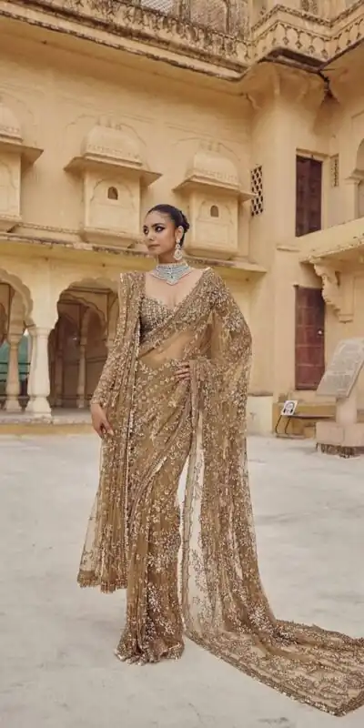 DF 3441 Chiku Color Mono Net Heavy 5mm Sequins Embroidery Work Saree Casual, Wedding, Festive, Events . Expected Delivery  4-6 Working Days @1799/- only                                                                                | Sarees, Bollywood Sarees, Creative Sarees, Designer Sarees, Embroidered Sarees, Ethnic Saree, Modern Digital sarees, Party Wear Sarees