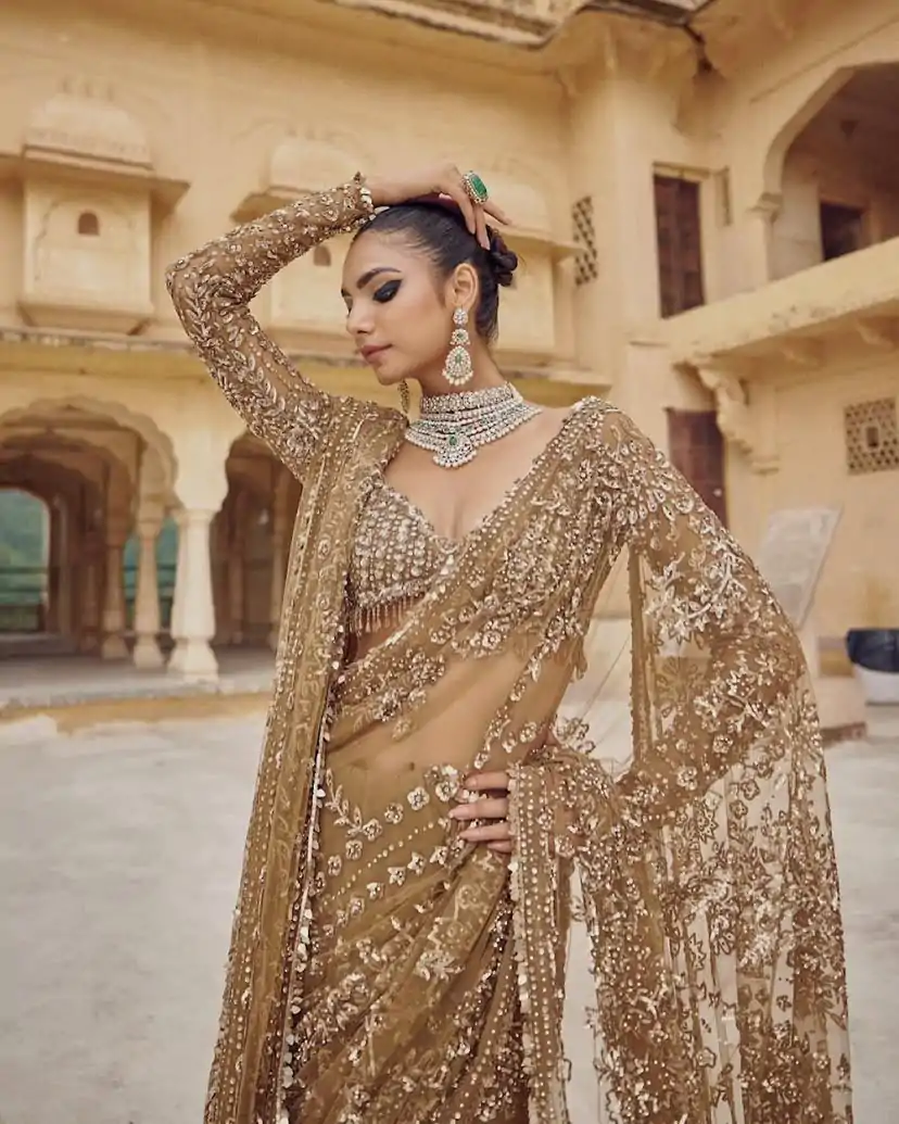 DF 3441 Chiku Color Mono Net Heavy 5mm Sequins Embroidery Work Saree Casual, Wedding, Festive, Events . Expected Delivery  4-6 Working Days @1799/- only                                                                                | Sarees, Bollywood Sarees, Creative Sarees, Designer Sarees, Embroidered Sarees, Ethnic Saree, Modern Digital sarees, Party Wear Sarees