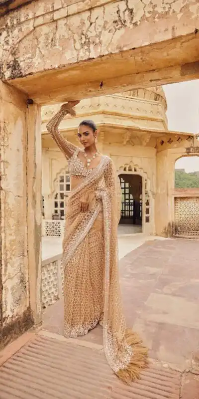 Cream Butterfly Net With Embroidery Work Saree