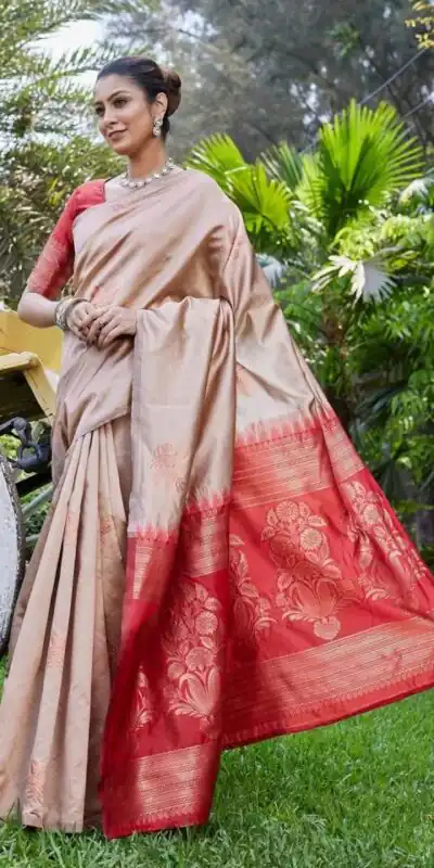 KPR 257 Chiku Soft Lichi Silk Saree with Lace Work & Lace Border. Now at just ₹1349. Delivery 4-6 Working Days. Shop now. | Sarees, Bollywood Sarees, Creative Sarees, Designer Sarees, Embroidered Sarees, Ethnic Saree, Modern Digital sarees, Party Wear Sarees