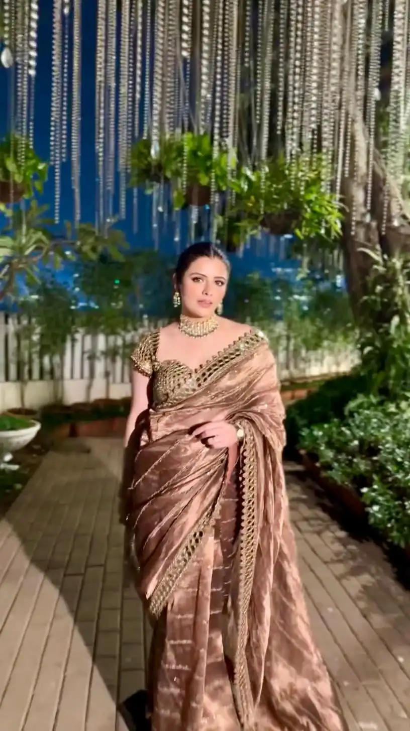 Mustered Organza Silk Mirror Embroidery Work Saree - Image 4