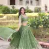 Pista Gold Crush Embroidery Zari Work Lehenga Choli