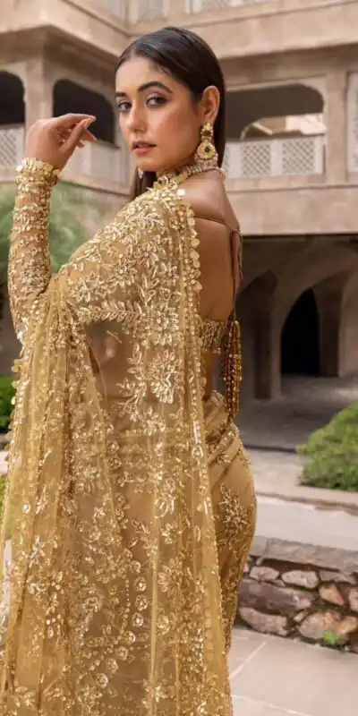 BT 388 Chiku Nylon Butterfly Net Saree with Lace Border & Lace Work. Exclusive Offer ₹1774. Delivery 4-6 Working Days. Shop now. | Sarees, Bollywood Sarees, Creative Sarees, Designer Sarees, Embroidered Sarees, Ethnic Saree, Modern Digital sarees, Party Wear Sarees