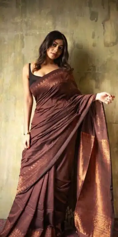 Brown Soft Lichi Silk Border Lace Saree